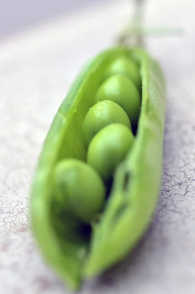 Zoete erwten. — Stockfoto