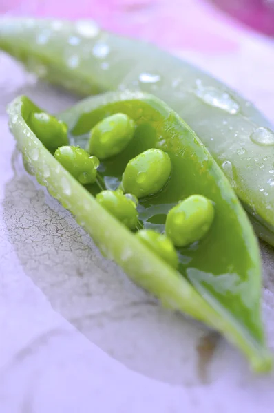 Sweet peas. — Stock Photo, Image