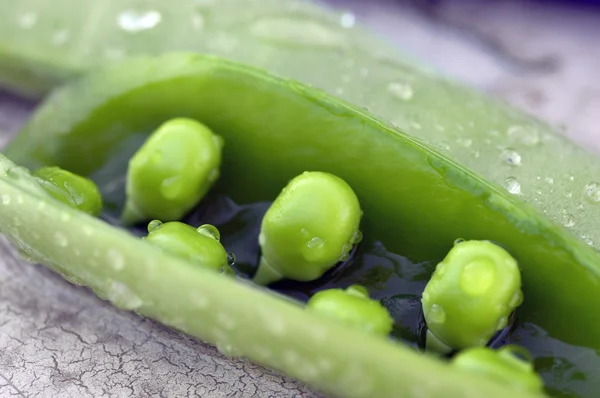 Sweet peas. — Stock Photo, Image