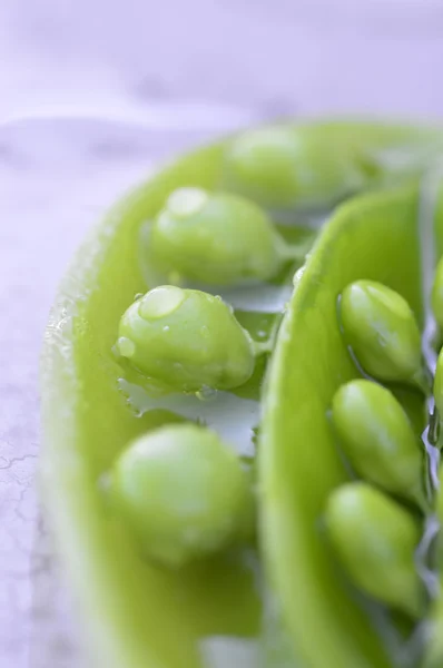 Sweet peas. — Stock Photo, Image