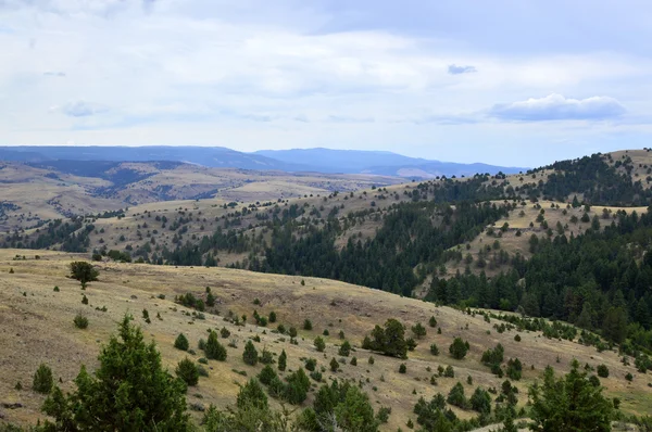 Горы штата Орегон, штат Айдахо — стоковое фото