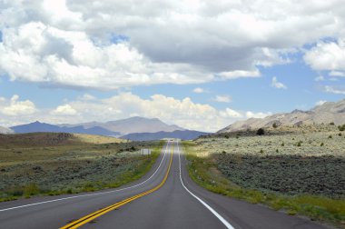 Amerikan yol