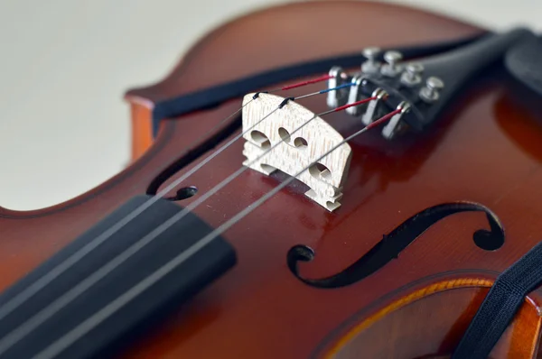 Ξύλινο όργανο μουσικής βιολί. — Φωτογραφία Αρχείου