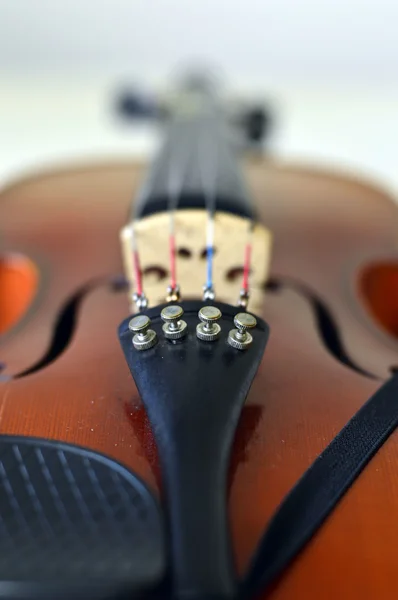 Violin music wooden instrument. — Stock Photo, Image