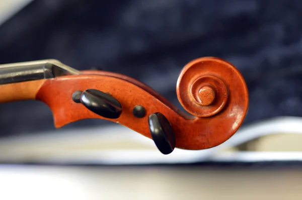 Violon instrument de musique en bois . — Photo