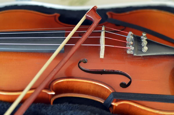 Violon instrument de musique en bois . — Photo