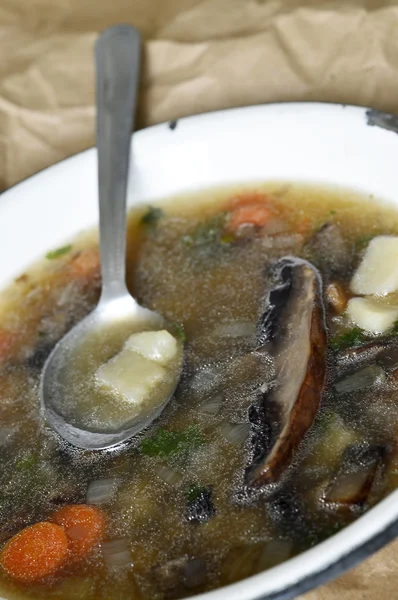 Zupa grzybowa Portobello — Zdjęcie stockowe