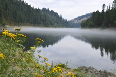  Amerikan büyük rive