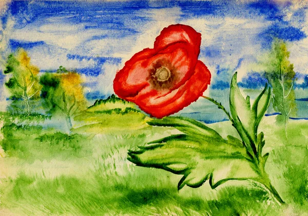 Bright poppy on a background of an idyllic landscape, watercolor — Stock Photo, Image