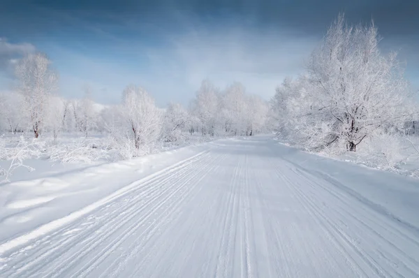 Winter landscape with snowed up road Stock Photo
