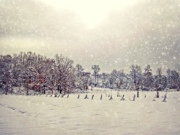 Envelhecimento fotos de inverno — Fotografia de Stock