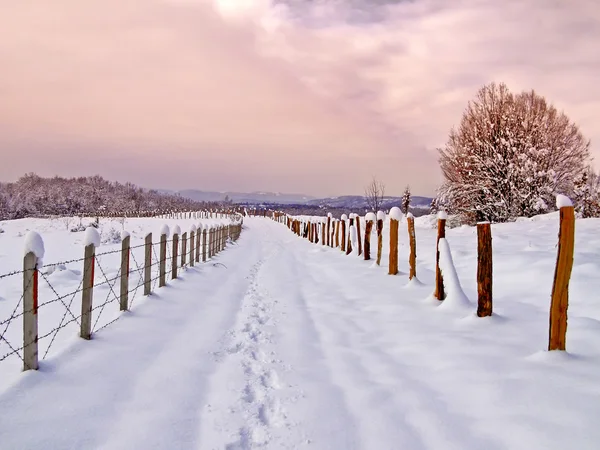 Ländliche Winterfotografie — Stockfoto