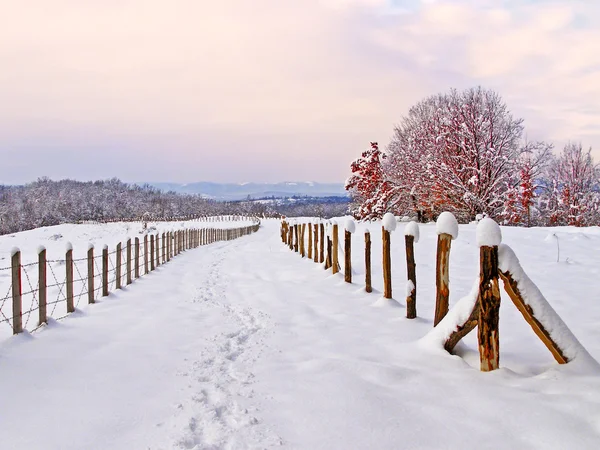 Landsbygdens winter photography — Stockfoto