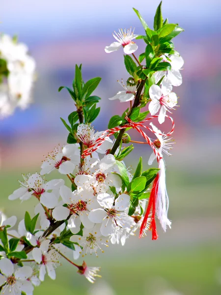 Martisor-罗马尼亚象征着春天的开始 — 图库照片