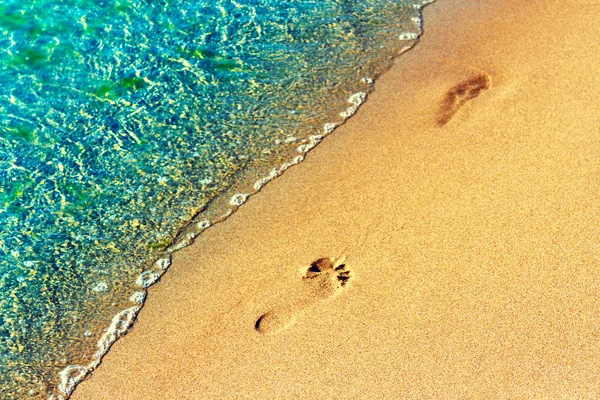 Impronta sulla sabbia bagnata della spiaggia — Foto Stock