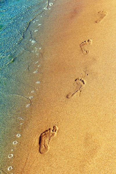 젖어 있는 해변 모래 위의 발자국 — 스톡 사진