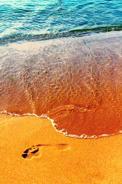 Impronta sulla sabbia bagnata della spiaggia — Foto Stock