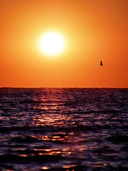 Wschód słońca i plaży — Zdjęcie stockowe