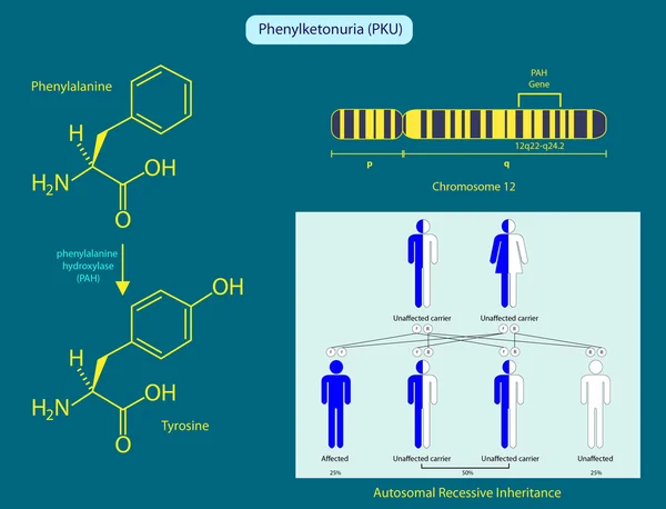 Phenylketonuria Royalty Free Stock Photos