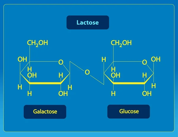 Au lactose Images De Stock Libres De Droits