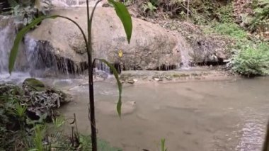 şelale bozulmamış ormanda, Tayland