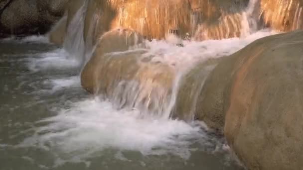 Vattenfall i den orörda djungeln — Stockvideo