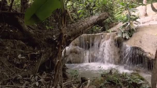 Vesiputous koskemattomassa viidakossa, Thaimaa — kuvapankkivideo