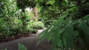 Yine de Botanik Bahçesi giden yol