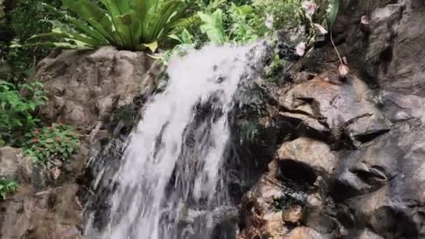 熱帯のジャングルの滝 — ストック動画