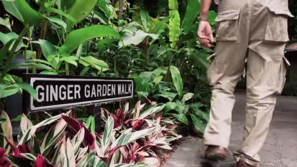 Ginger Garden sign — Stock Video