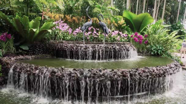 Fântâna de apă în grădina botanică — Videoclip de stoc
