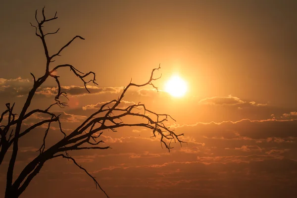 Západ slunce nad národní Park Chobe — Stock fotografie