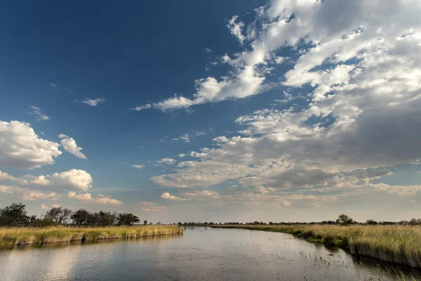 Okavango-delta — Stock Fotó