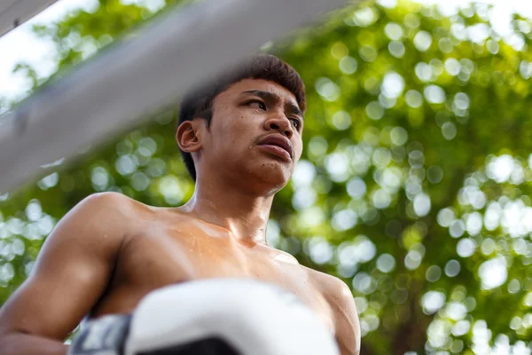 Prisión lucha, muay thai competencia Imagen de stock