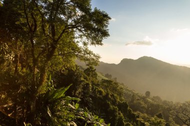 Phu Chi Fa manzara Tayland