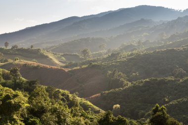 Phu Chi Fa manzara Tayland