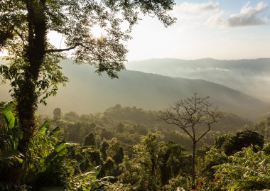 Phu Chi Fa manzara Tayland