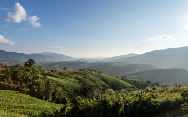 Phu Chi Fa manzara Tayland