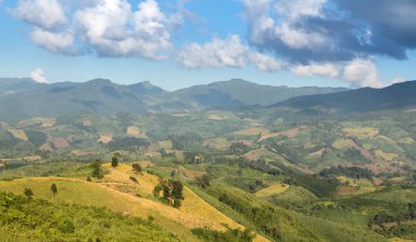 Phu Chi Fa manzara Tayland