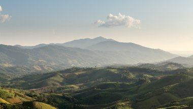 Phu Chi Fa manzara Tayland