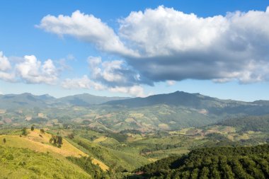 Phu Chi Fa manzara Tayland