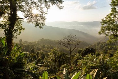Phu Chi Fa manzara Tayland