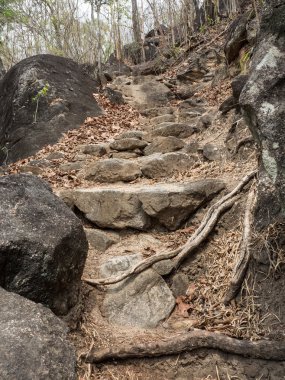 OB Luang Milli Parkı Tayland