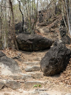 OB Luang Milli Parkı Tayland