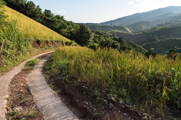 Phu Chi Fa landscape in Thailand — Stock Photo, Image