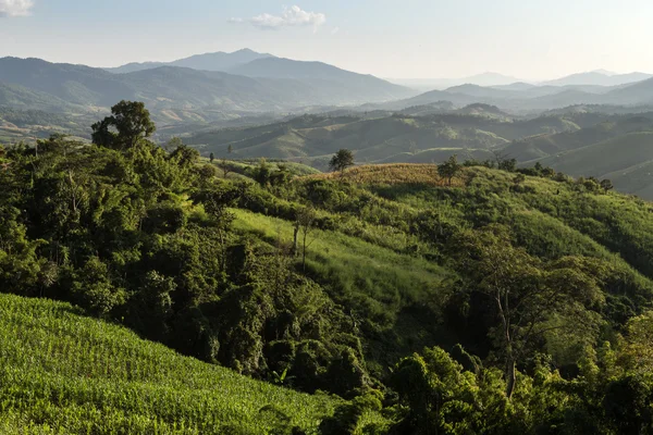 Phu Chi Fa landscape in Thailand — Stock Photo, Image