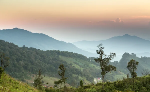 Phu Chi Fa landskap i Thailand — Stockfoto