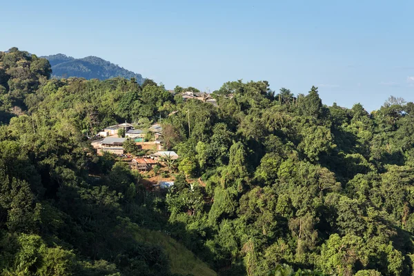 Phu Chi Fa landscape in Thailand — Stock Photo, Image