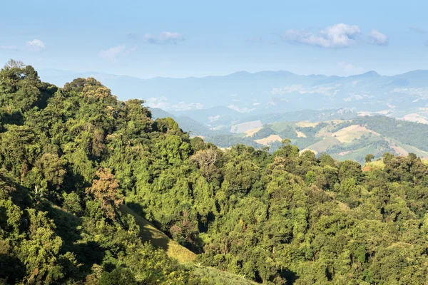 Phu Chi Fa paisaje en Tailandia —  Fotos de Stock