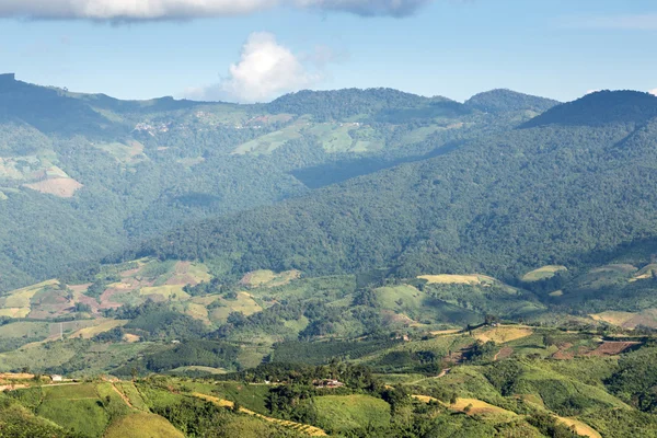 Phu Chi Fa landscape in Thailand — Stock Photo, Image